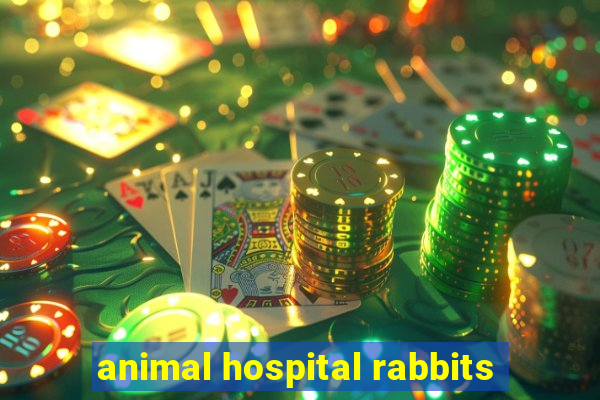 animal hospital rabbits